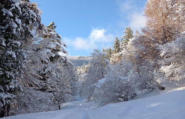 Rossweid hut With a Fantastic View - Foto 19