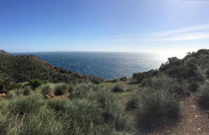 San Jose Apartamentos SL Casa Mar - Foto 18