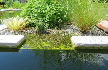 Gîte du Pradel - Foto 23