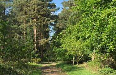 Nightingale Lodge - Adults Only - Foto 21