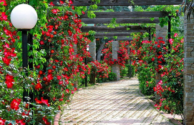 Holiday Village Caravelle Camping Vill, Ceriale - Foto 25