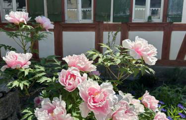 Ickelhaus 2 - Foto 11