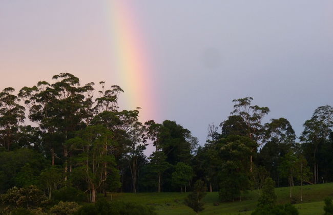 Bellthorpe Stays - Foto 63