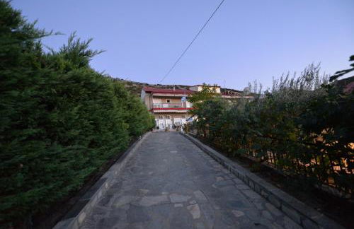 Studios Kostas & Despina - Photo 11