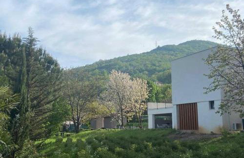 Villa Mi, Rukavac Opatija Riviera - Photo 23