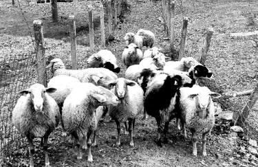 ALBAREÍLLA by #cherrygredos - Photo 15