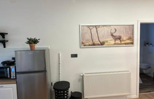 Apartman Mr Guest Krapina - Foto 14