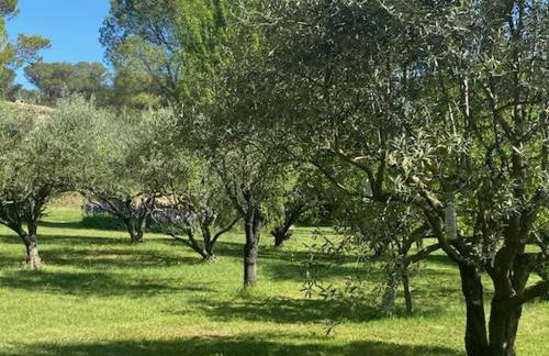 Maison avec piscine et Sauna - Foto 17