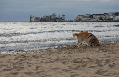 Central Living Apartment - Foto 15