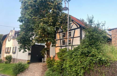 Scheunentraum Brenig - Foto 2