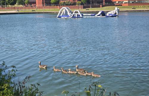 Newly Renovated Country Cottage - Foto 26