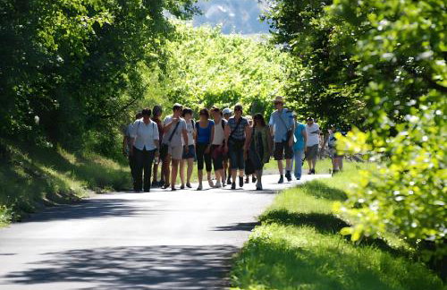 Weingut Ilmbacher Hof - Foto 71