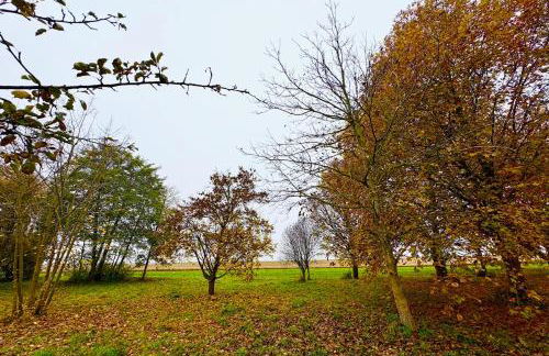 Le Mazal comfort & calm near Strasbourg - Photo 31