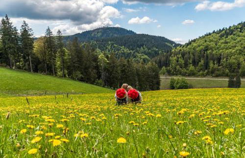 Schwarzwaldhaus Sonnenstraße, Oberried-Hofsgrund, Dreisamtal - Foto 23