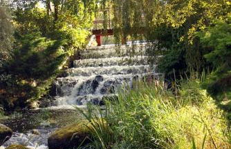 Betty’s Hideaway - Photo 29