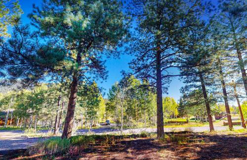 Pinon Pines - Foto 57