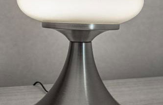 Seagulls, Elegance and Freedom - Foto 24