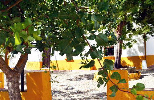 Cortijo La Cañada - Foto 59