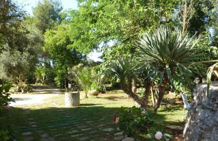 Il Trullo del Cadetto - Foto 27