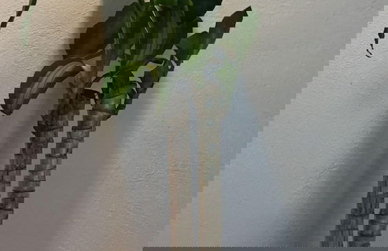 Green Lofts - Foto 56