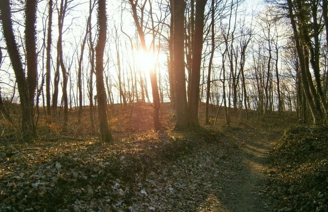 Apartment Baltic Sea - Foto 16