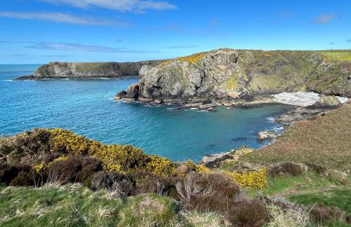 Cuddfan Fach - Pembrokeshire Stunning Barn near the Coastal Path - Foto 65
