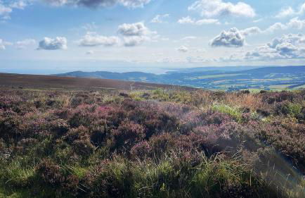 Winstitchen Cottage situated near the River Barle - Foto 50