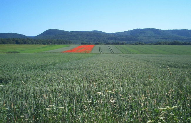 Ferienwohnung Stricker Harz - Photo 53