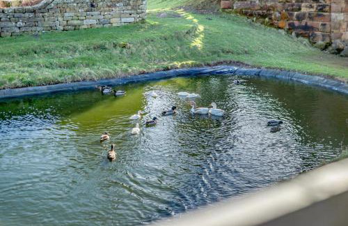 1 Bed in Glaisdale oc-wa327 - Foto 20