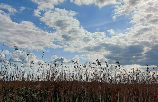 Seaside Charm in Boged-by Traum - Foto 6