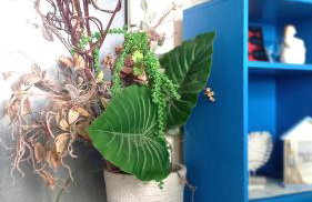 Apartments Donda - Photo 57