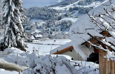 Chalet à Megève-Vauvray - Grands Appartements , vue Mont Blanc - Foto 17