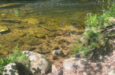 Ferienwohnung Kräutergarten - Foto 19