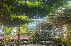 Apartment Kris - Foto 10