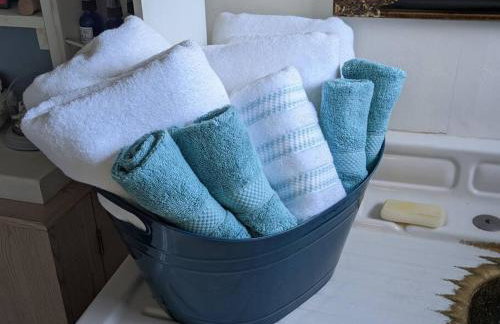 1870s Stained Glass Nostalgia - Foto 33