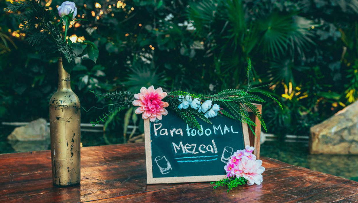 "Il mescal, la cura di tutti i mali"