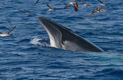 Casa Mao-Cheia - Foto 25