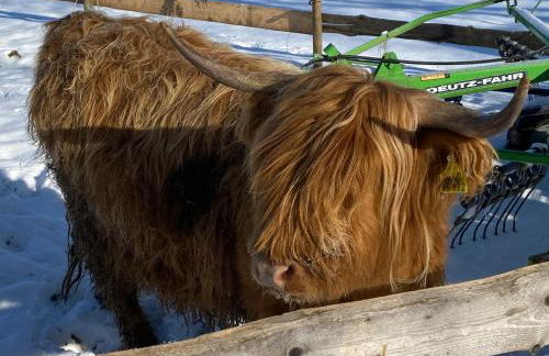 Haus am Kienberg - Foto 49