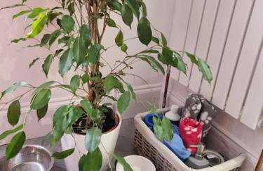 Stay at 128 - Foto 7