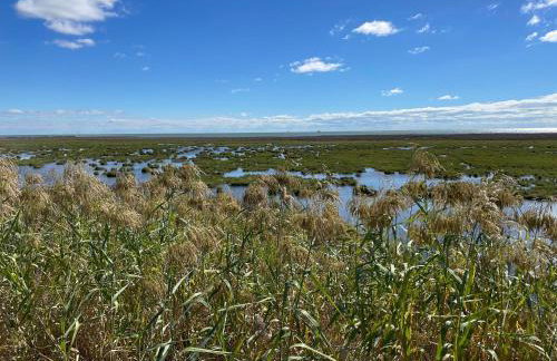Harbor Lights Cottages #3 by Miss Kitty’s - Foto 5
