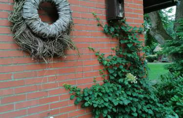 Ferienhaus in Rumke - Foto 11