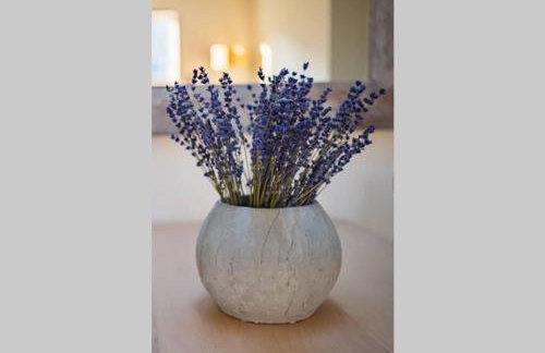 Number 27, Swanpool - Foto 7