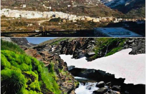 El Aguacate - Foto 40