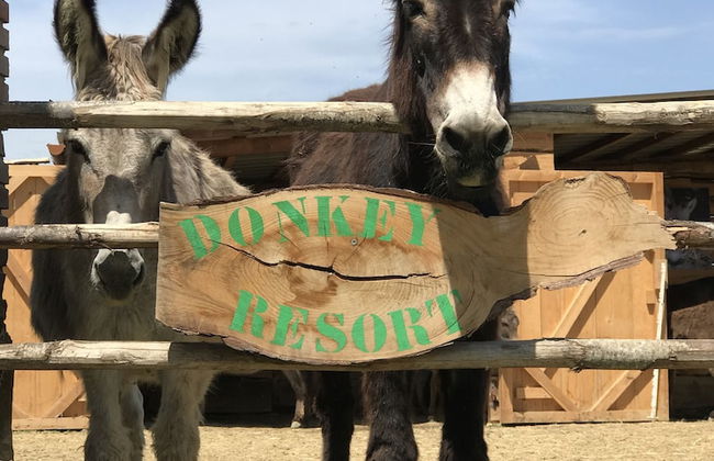 La Locanda Paradiso - Foto 38