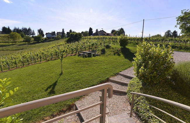 Apartments Vinska Trta - Photo 50