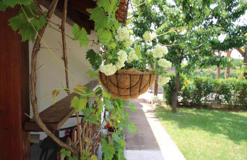 Apartments Green Garden - Foto 11