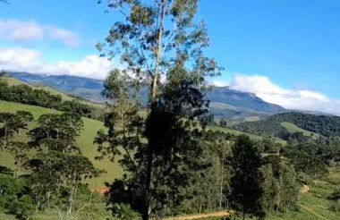 Chalé anjico - Foto 27