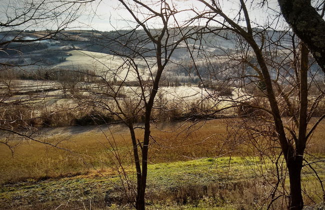 Agriturismo Casa Greppo - Il Noce - Foto 61