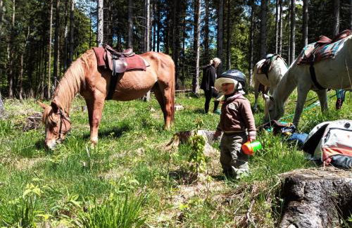 Dom Geologa - Foto 58