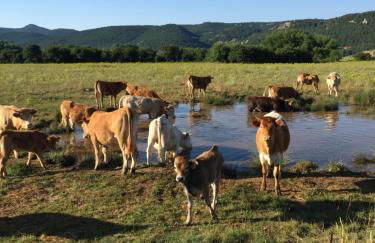 Casa Las Tinajas - Foto 61